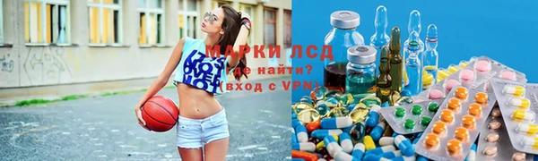 хмурый Алексин