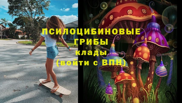молекула духа Алзамай