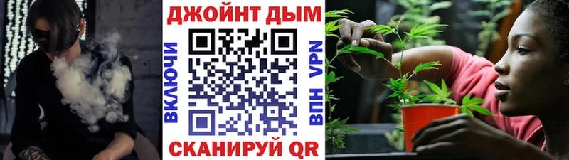 где купить   Олонец  Конопля сатива 